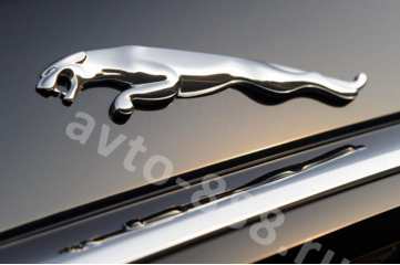 Эмблема Ягуар EBL-211 фото 2