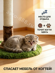 Когтеточка вертикальная с игрушками для кошек 88см фото 7